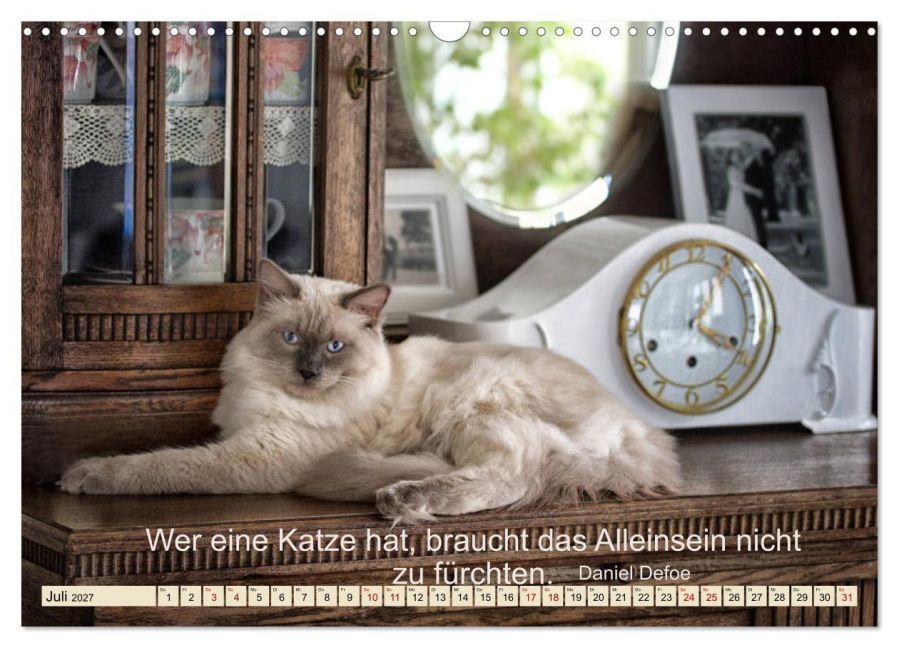 InsideView 12