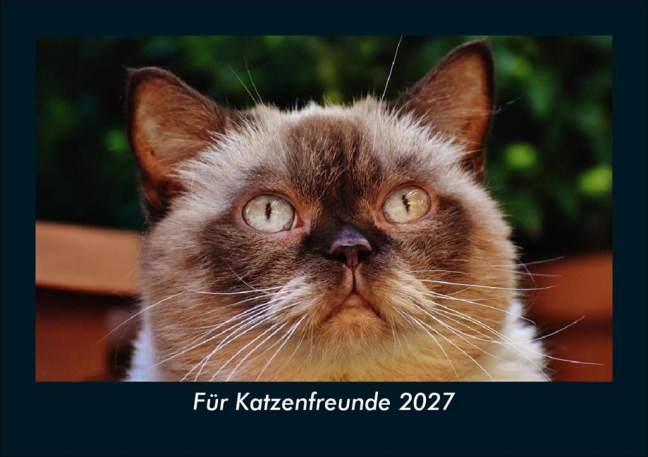 Für Katzenfreunde 2027 Fotokalender DIN A5 - Tobias Schmitt, Kevin Heber