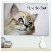 Mine de chat (Calendrier mural 2026 DIN A2 vertical) calendrier de bureau - Jennifer Chrystal