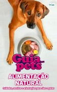 Cover-Bild zum Titel 'Guia Dos Pets - Alimentação Natural' von ''