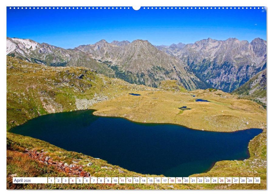 InsideView 8