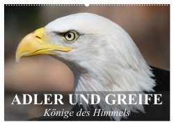 Cover-Bild zum Titel 'Adler und Greife - Könige des Himmels (Wandkalender 2026 DIN A2 quer), CALVENDO Monatskalender' von 'Elisabeth Stanzer'