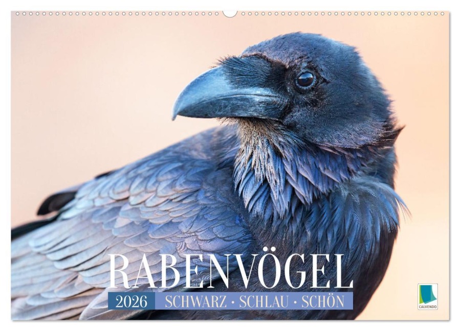 Rabenvögel: Schwarz, schlau, schön (Wandkalender 2026 DIN A2 quer), CALVENDO Monatskalender - Calvendo Calvendo