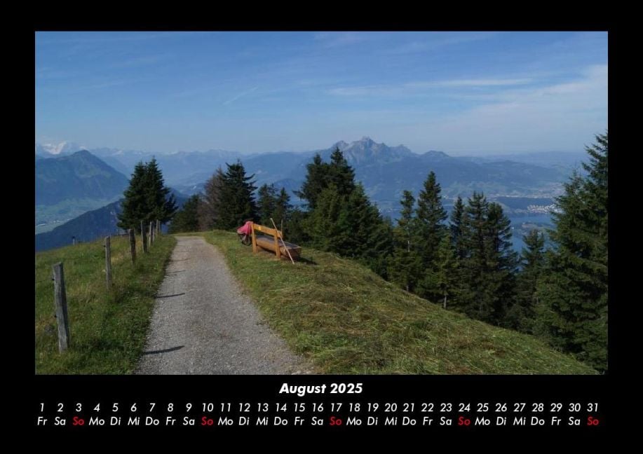 InsideView 12