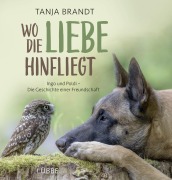 Wo die Liebe hinfliegt - Tanja Brandt