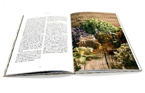 InsideView 10