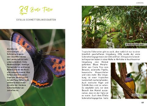 InsideView 7