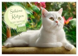 Schöne Katzen. Beliebte Samtpfoten im Garten (Wandkalender 2026 DIN A2 quer), CALVENDO Monatskalender - Rose Hurley