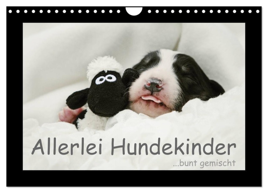 Allerlei Hundekinder (Wandkalender 2025 DIN A4 quer), CALVENDO Monatskalender - Kathrin Köntopp