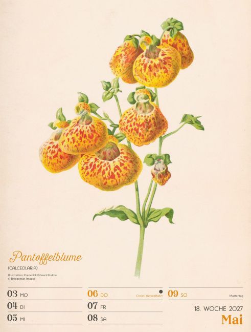 InsideView 22