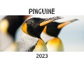Pinguine - Bibi Hübsch
