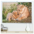 Emotionale Momente: Liebenswerte Löwenbabys (hochwertiger Premium Wandkalender 2025 DIN A2 quer), Kunstdruck in Hochglanz - Ingo Gerlach GDT