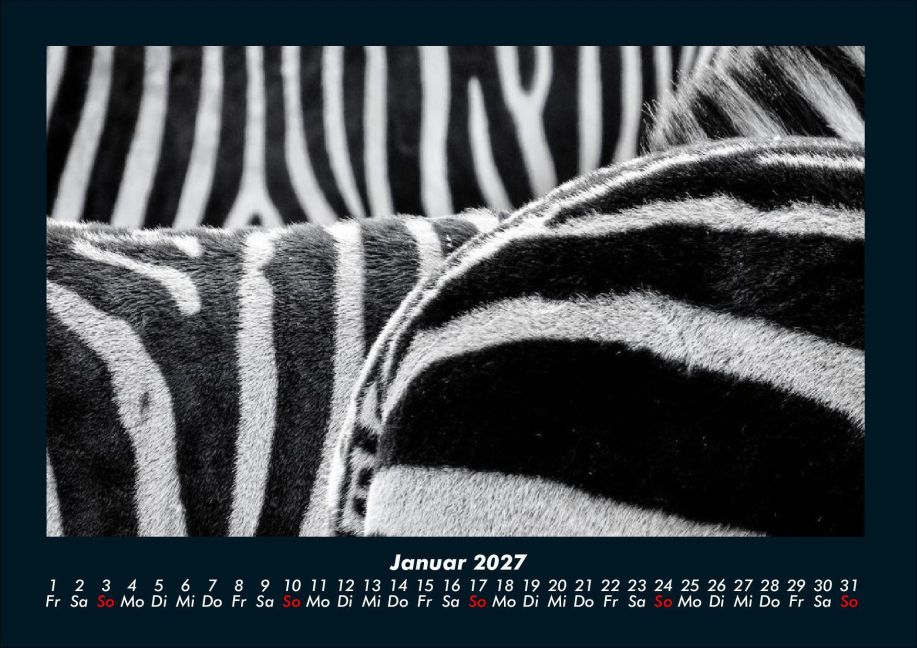 InsideView 5