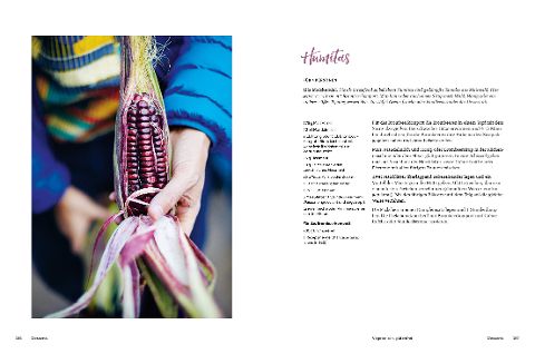 InsideView 4