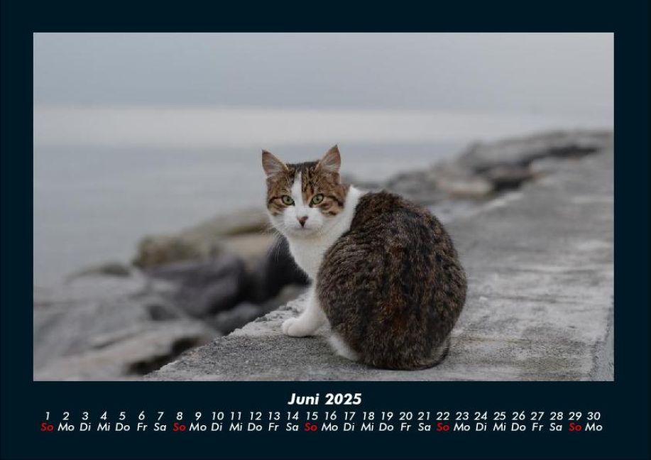 InsideView 10