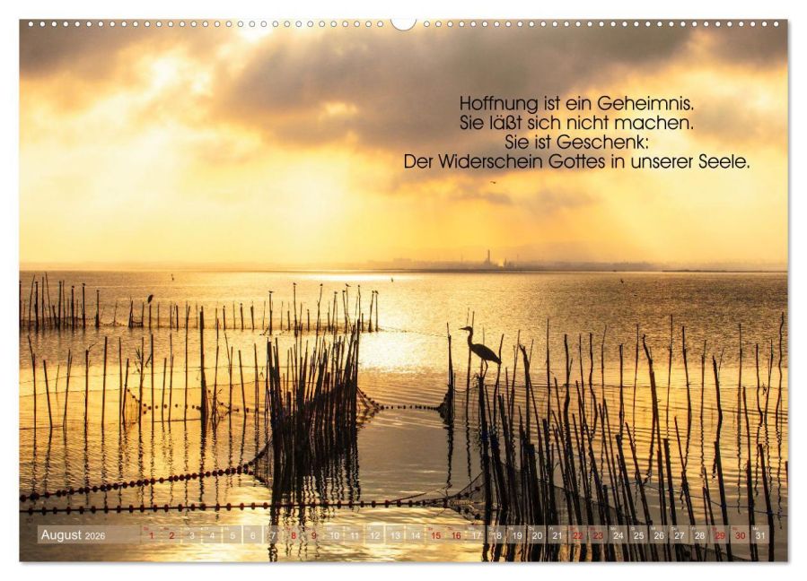 InsideView 13