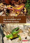 Cover-Bild zum Titel 'Die Amphibien und Reptilien Europas' von 'Dieter Glandt, Benny Trapp'