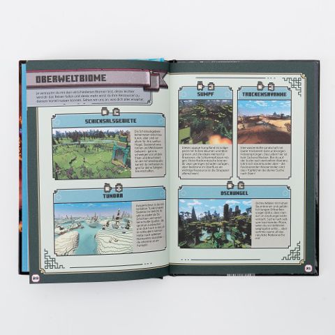 InsideView 5