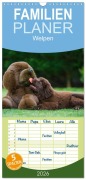 Cover-Bild zum Titel 'Familienplaner 2026 - Welpen 2026 mit 5 Spalten (Wandkalender, 21 x 45 cm) CALVENDO' von 'Sigrid Starick'
