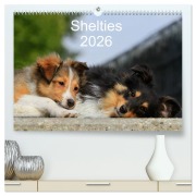 Cover-Bild zum Titel 'Shelties 2026 (hochwertiger Premium Wandkalender 2026 DIN A2 quer), Kunstdruck in Hochglanz' von 'Marion Reiß - Seibert'
