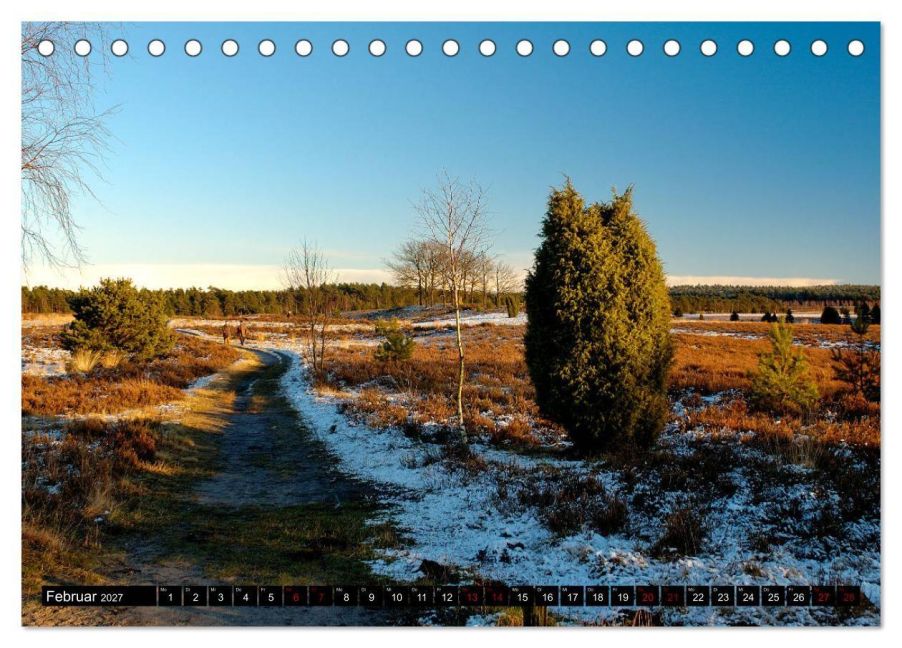 InsideView 7