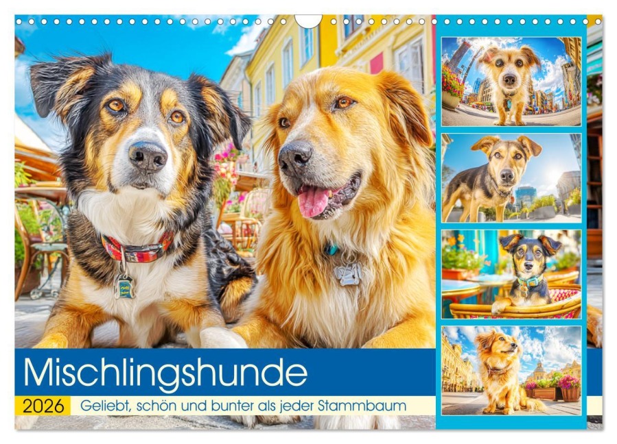 Mischlingshunde. Geliebt, schön und bunter als jeder Stammbaum (Wandkalender 2026 DIN A3 quer), CALVENDO Monatskalender - Rose Hurley