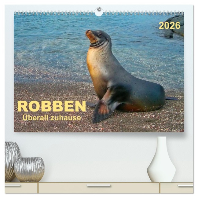 Robben - überall zuhause (hochwertiger Premium Wandkalender 2026 DIN A2 quer), Kunstdruck in Hochglanz - Peter Roder
