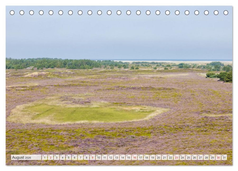 InsideView 13