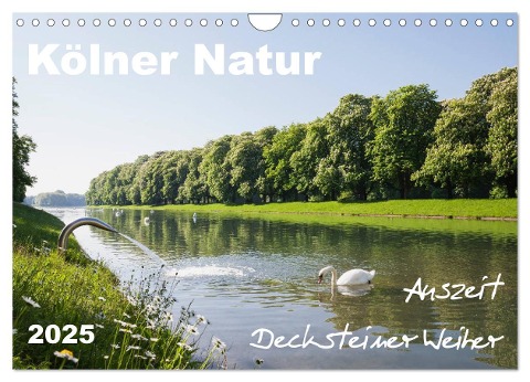 Kölner Natur. Auszeit Decksteiner Weiher (Wandkalender 2025 DIN A4 quer), CALVENDO Monatskalender - Gaby Wojciech