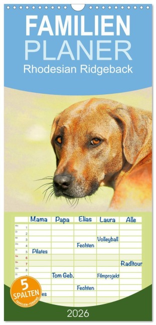 Familienplaner 2026 - Rhodesian Ridgeback 2026 mit 5 Spalten (Wandkalender, 21 x 45 cm) CALVENDO - Andrea Redecker