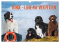 Hunde - Liebe auf vier Pfoten (Wandkalender 2024 DIN A3 quer), CALVENDO Monatskalender - Sigrid Starick