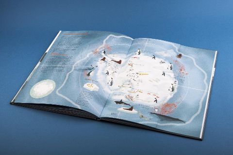 InsideView 6