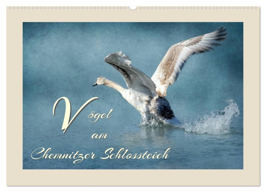 Vögel am Chemnitzer Schlossteich (Wandkalender 2026 DIN A2 quer), CALVENDO Monatskalender - Heike Hultsch