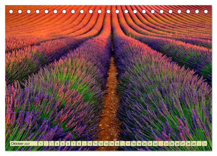 InsideView 2