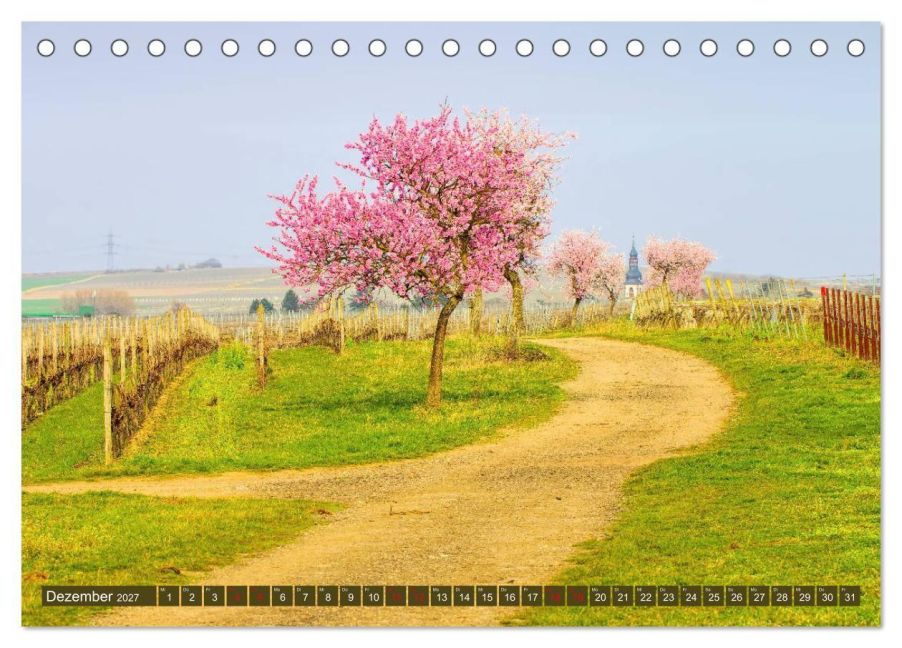 InsideView 4