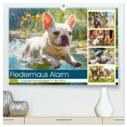Fledermaus Alarm. Französiche Bulldoggen in der Natur (hochwertiger Premium Wandkalender 2026 DIN A2 quer), Kunstdruck in Hochglanz - Rose Hurley