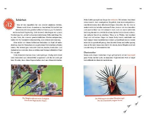 InsideView 5