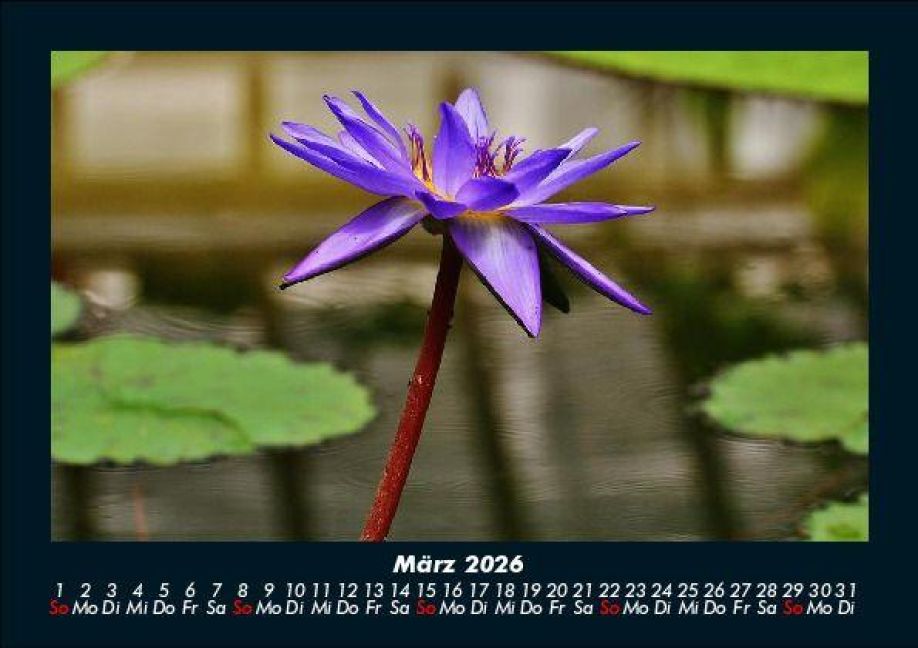 InsideView 7