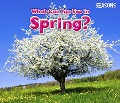 What Can You See In Spring? - Sian Smith