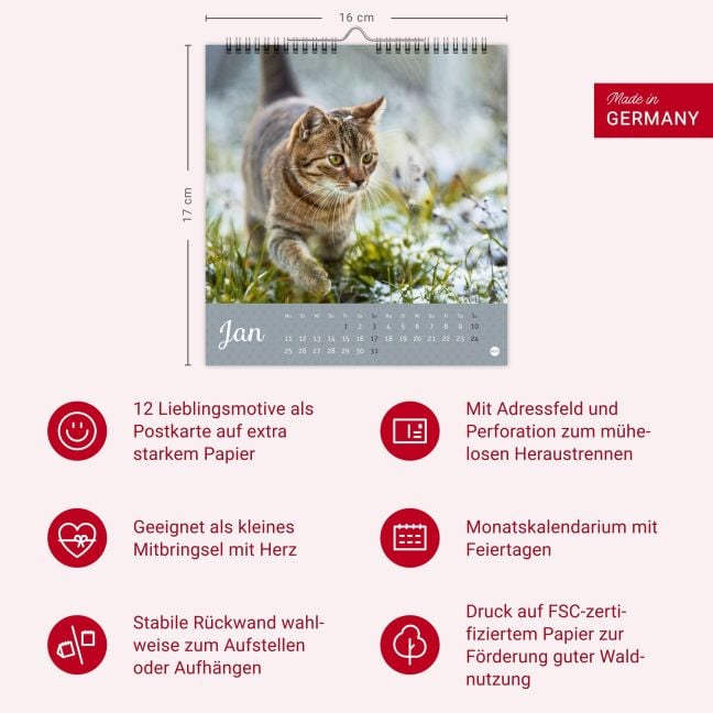 InsideView 13