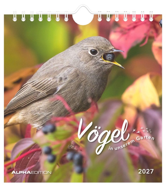 Vögel in unserem Garten 2027 - 