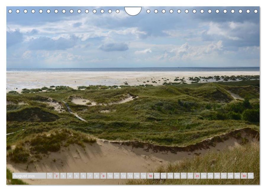 InsideView 13