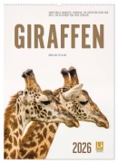 Emotionale Momente: Giraffen, die höchsten Tiere der Welt. (Wandkalender 2026 DIN A2 hoch), CALVENDO Monatskalender - Ingo Gerlach