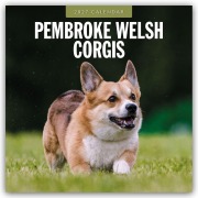 Cover-Bild zum Titel 'Pembroke Welsh Corgis - Pembroke Welsh Corgi 2027 - 16-Monatskalender' von 'Robin Red'