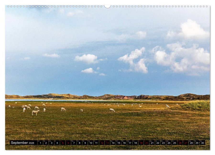 InsideView 14