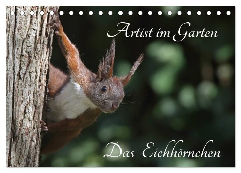 Artist im Garten. Das Eichhörnchen (Tischkalender 2024 DIN A5 quer), CALVENDO Monatskalender - Klaus Konieczka