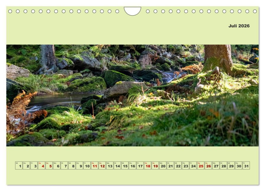 InsideView 12