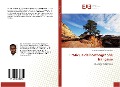 Cover-Bild zum Titel 'Pratique de l'orthographe française' von 'Jean Florent Romaric Gnayoro'