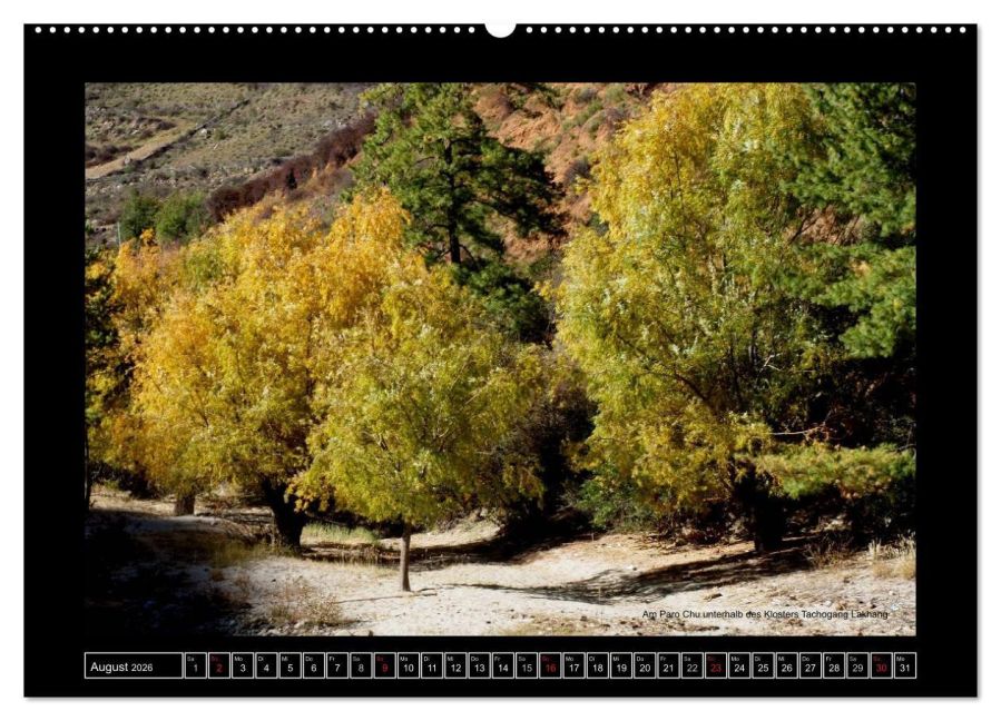 InsideView 13