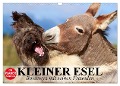 Kleiner Esel. Boldewyn mit seinen Freunden (Wandkalender 2025 DIN A3 quer), CALVENDO Monatskalender - Elisabeth Stanzer